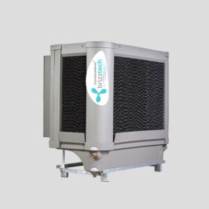 Brizz Max 16 Abs