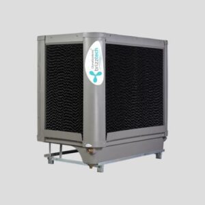 Brizz Max 33 Abs